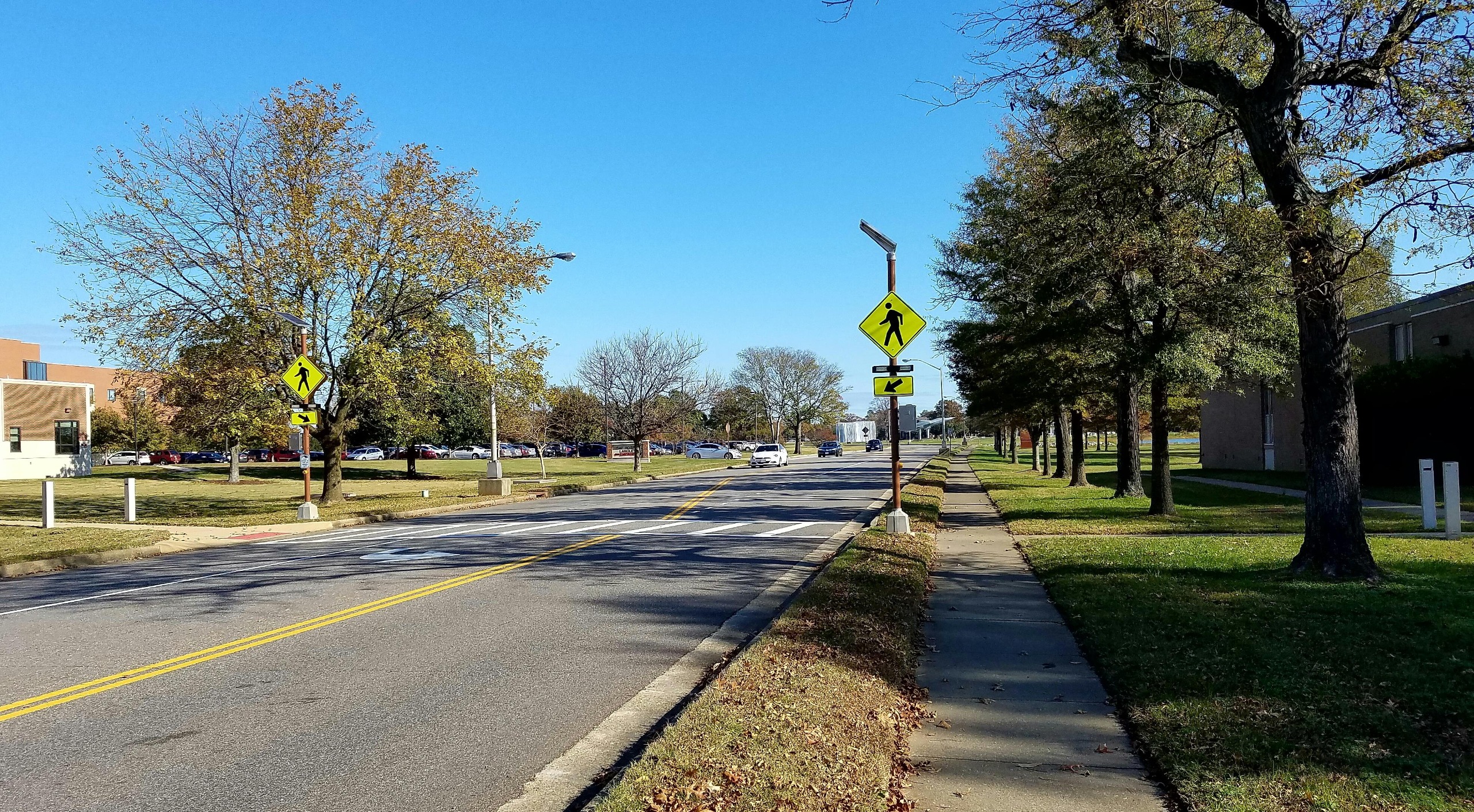 Trees line the sidewalk along a road on Joint Base Langley-Eustis, providing shade for pedestrians (U.S. Air Force photo by Beverly Joyner)